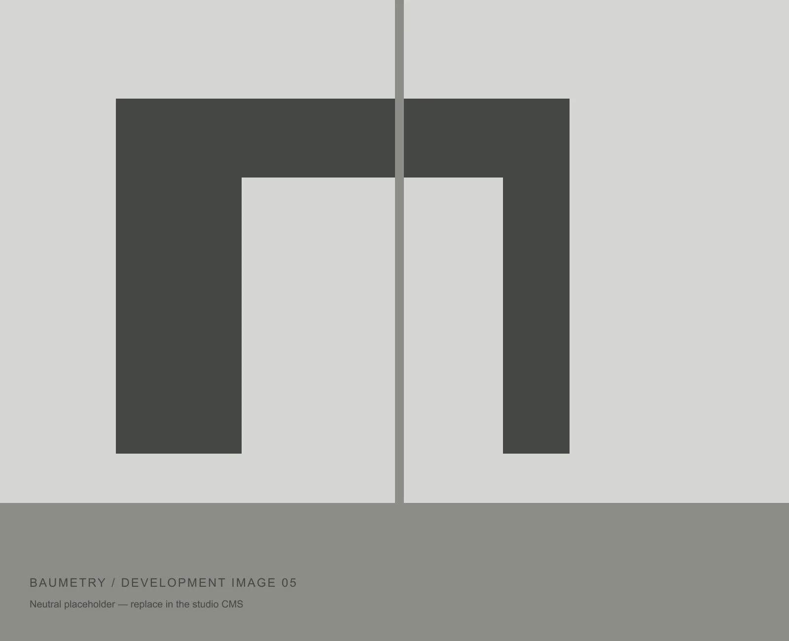 Neutral development placeholder 5; not a completed Baumetry project